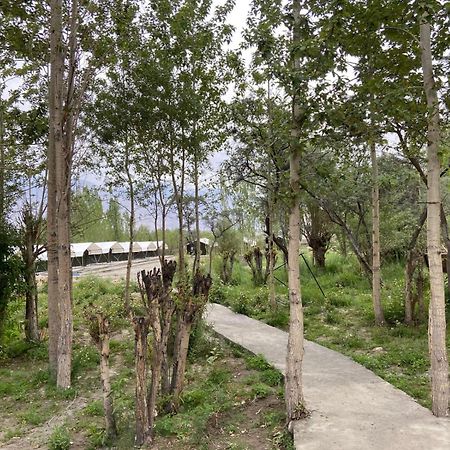 Ladakh Mountian Escape Camp By Lexstays 레 외부 사진